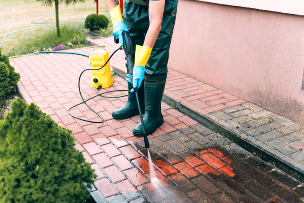 Vienna Bend, LA Pressure Washing Company