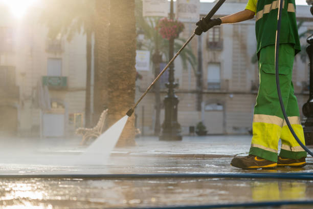 Best Driveway Pressure Washing  in Vienna Bend, LA